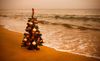 christmastreeonbeach476x290.jpg